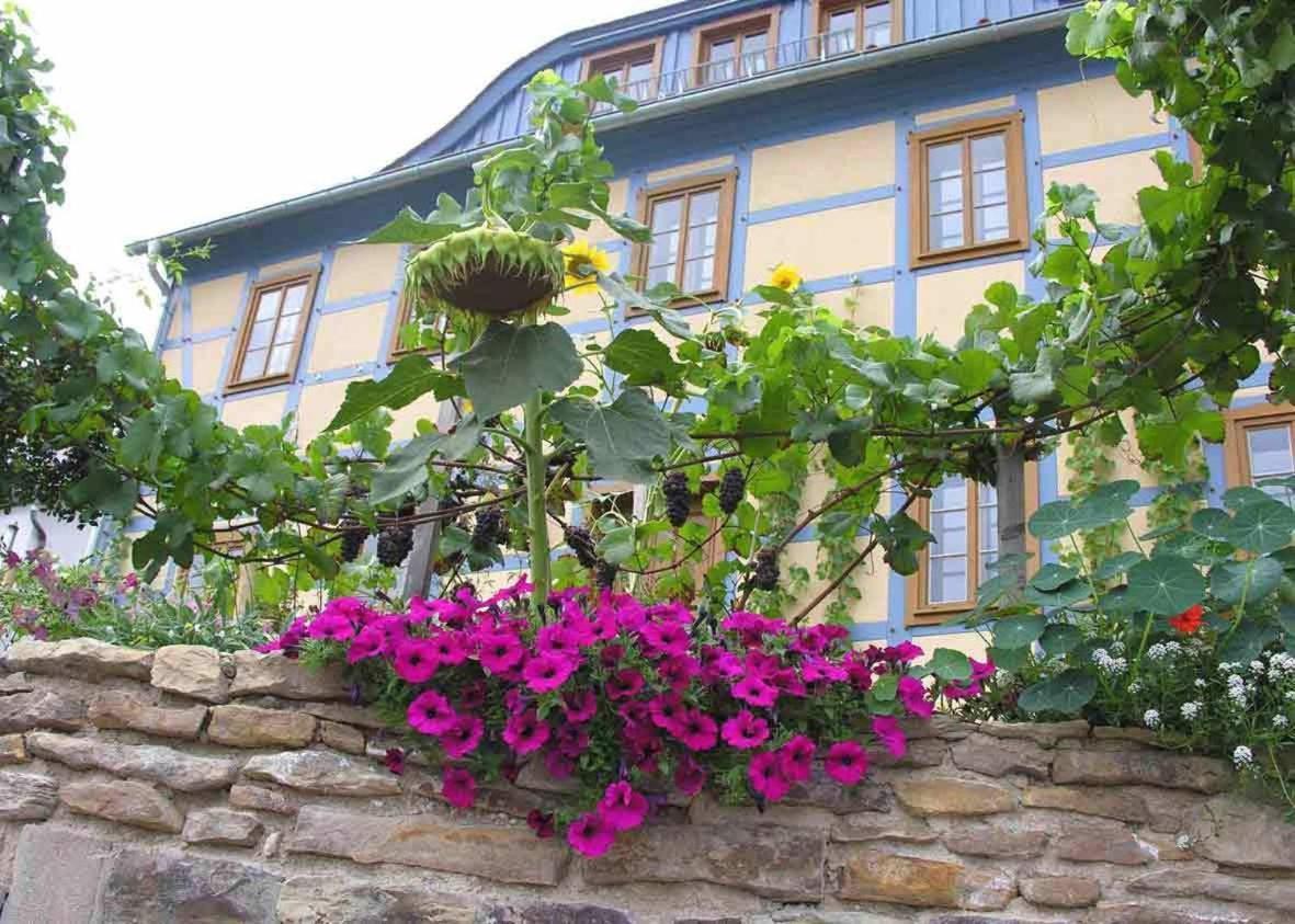 In Der Alten Weinstube Freital Exterior foto
