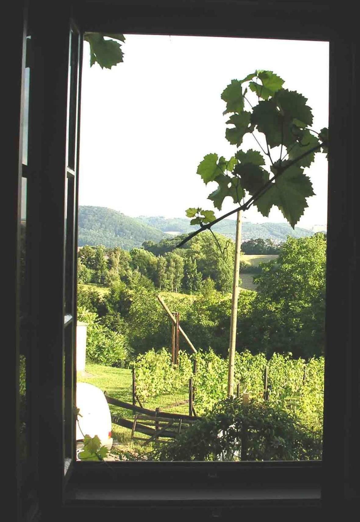 In Der Alten Weinstube Freital Exterior foto